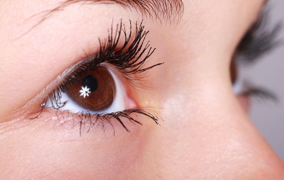 brown eye